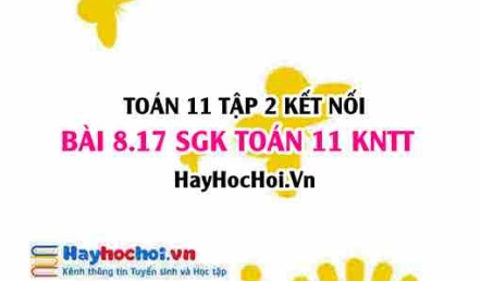 Bài 8.17 SGK Toán 11 Tập 2 Kết nối tri thức